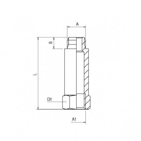 PROLUNGA CILINDRICA  1/4-1/4 L51