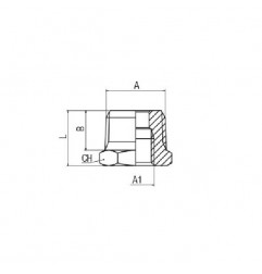 RIDUZIONE CONICA M.1/4-F.1/8