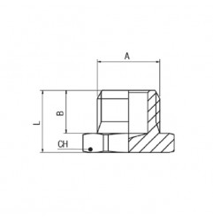 TAPPO MASCHIO CILINDRICO 1/8 TESTA ESAGONALE