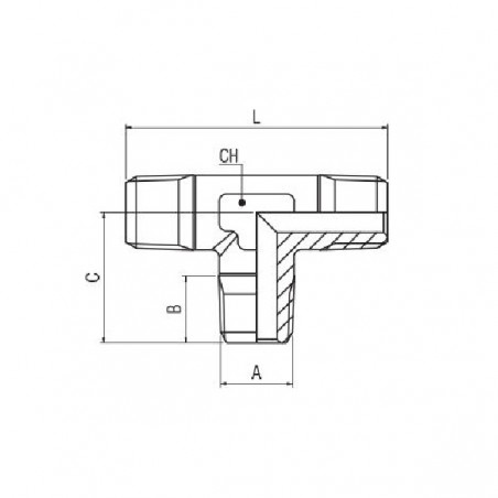 RACCORDO T MASCHIO 1/8