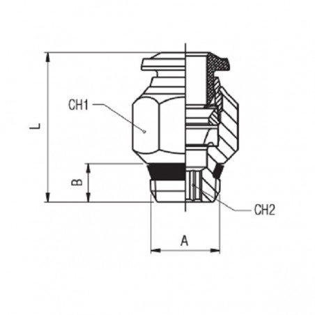 RACCORDO DRITTO M.1/8 AUTOMATICO TUBO 6