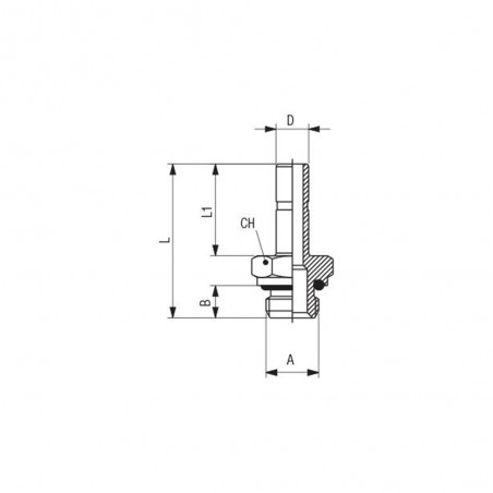 RACCORDO ADATTATORE MASCHIO CILINDRICO 1/8" CODOLO 6MM