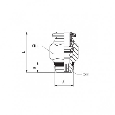 RACCORDO DRITTO AUTOMATICO MASCHIO SHORT 3/8 X T10