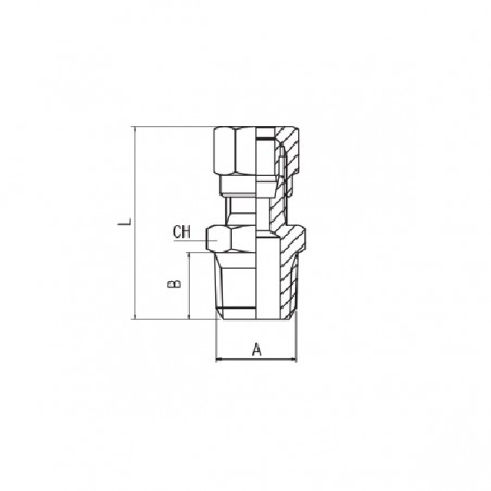 RACCORDO CON OGIVA DIRITTO M.1/8 TUBO 4 A COMPRESSIONE