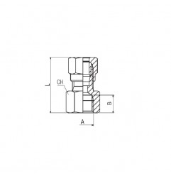 RACCORDO CON OGIVA DIRITTO F.1/8 TUBO 6 A COMPRESSIONE