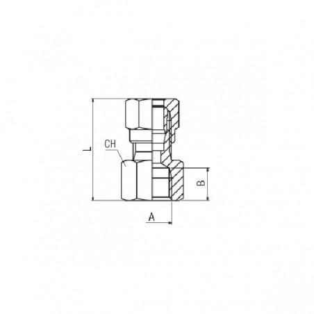 RACCORDO CON OGIVA DIRITTO F.1/8 TUBO 6 A COMPRESSIONE