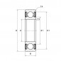 CUSCINETTO 25X52X18 1 CORONA DI SFERE 62205 2RS1