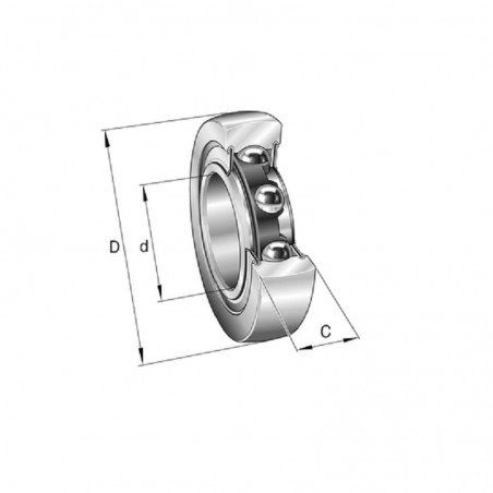 ROTELLA A SFERE 10X32X9 LR 200 NPPU