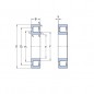 CUSCINETTO 35X72X17 A RULLI CILINDRICI NJ207 ECJ ISB