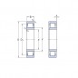 CUSCINETTO 20X47X14 A RULLI CILINDRICI NU204 ECM ISB