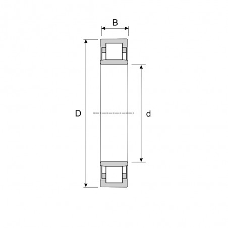 CUSCINETTO 17X40X16 A RULLI CILINDRICI NU2203 ECM ISB