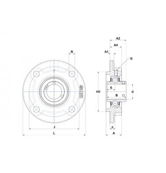 SUPPORTO FORO 25 FLANGIA TONDA UCFSC205 INOX ISB