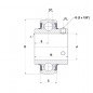 CUSCINETTO 60X110X27/65.1 PER SUPPORTO UC212 ISB