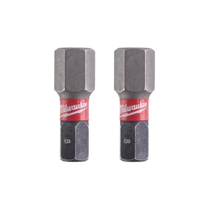 BIT HEX 8X25 MM 2 PZ 4932430898