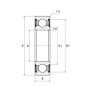 CUSCINETTO 32X58X13 1 CORONA DI SFERE 60/32 LLU NTN