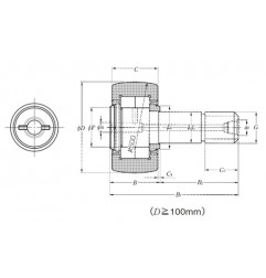 PERNO FOLLE 22X10X36 KRV22FXLLH NTN