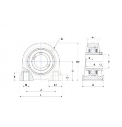 SUPPORTO FORO 25 RITTO M-UCUP205D1 - UCPA205 NTN