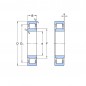 CUSCINETTO 35X80X21 A RULLI CILINDRICI NU307 C3 NTN