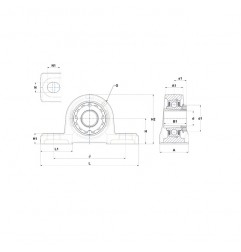 SUPPORTO FORO 60 RITTO UKP213D1 NTN