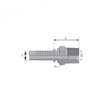 MASCHIO 3/8" BSPT PER TUBO 1/4" SV60