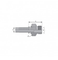 MASCHIO 12x1.5 METRICO PER TUBO 1/4" SV60