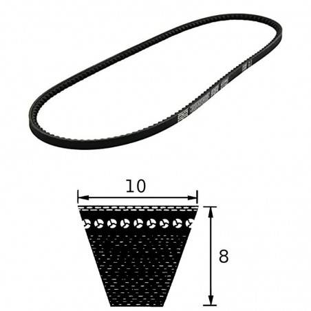 CINGHIA AVX10X1025 TRAPEZOIDALE OPTIBELT