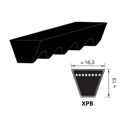 CINGHIA 16,3X1250 XPB1250 TRAPEZOIDALE DENTELLATA OPTIBELT