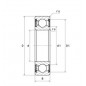 CUSCINETTO 25X47X12 1 CORONA DI SFERE 6005 HVZZ 26.000 RPM SNR