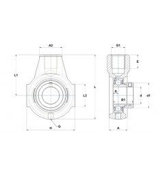 SUPPORTO FORO 35 A TESTA DI BIELL ESEHE207 SNR