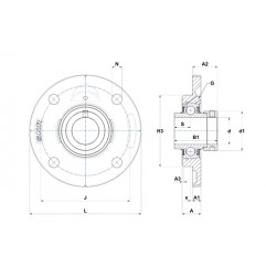 SUPPORTO FORO 55 FLANGIA TONDA EXFCE211 SNR