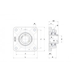 SUPPORTO FORO 20 FLANGIA QUADRA UCFE204 SNR