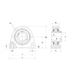 CUSCINETTO 30X42.9X98 PER SUPPORTO UCPAE206 SNR