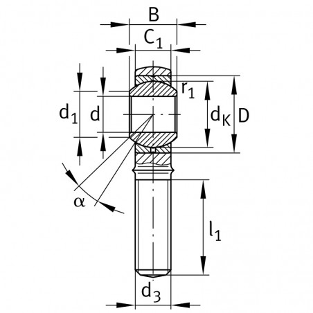 TESTA A SNODO 20X1,5 SENZA FORO DI LUBRIFICAZIONE TSM20C INOX ISB