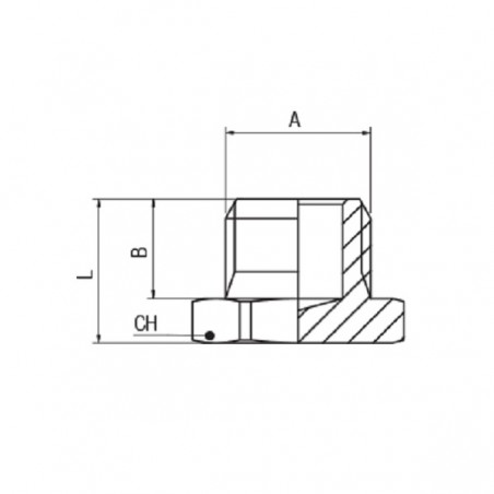 TAPPO MASCHIO CILINDRICO 3/8 TESTA ESAGONALE