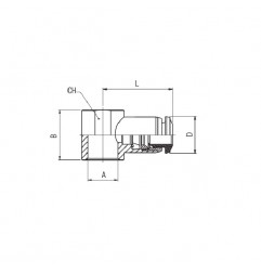 TESTINA ORIEN.AUT.1/4 D 8