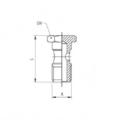 VITE CAVA SING. 1/8    (51410)